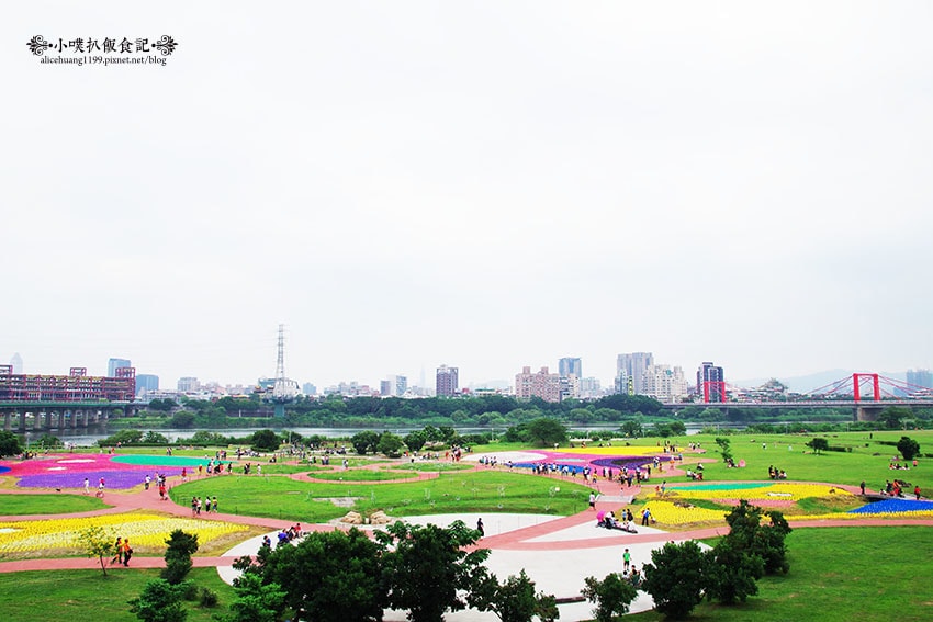 IMGP4641.jpg IMGP4641.jpg