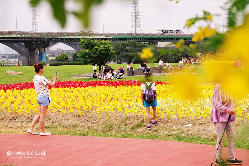 IMGP4644.jpg IMGP4644.jpg