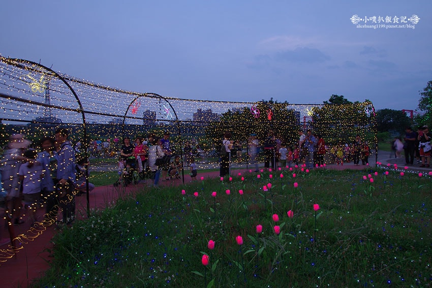 IMGP4665.jpg IMGP4665.jpg