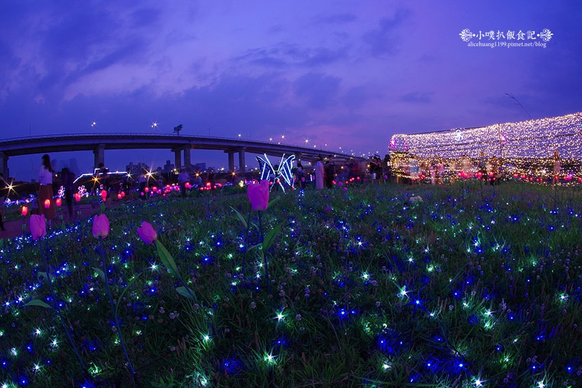 IMGP4681.jpg IMGP4681.jpg