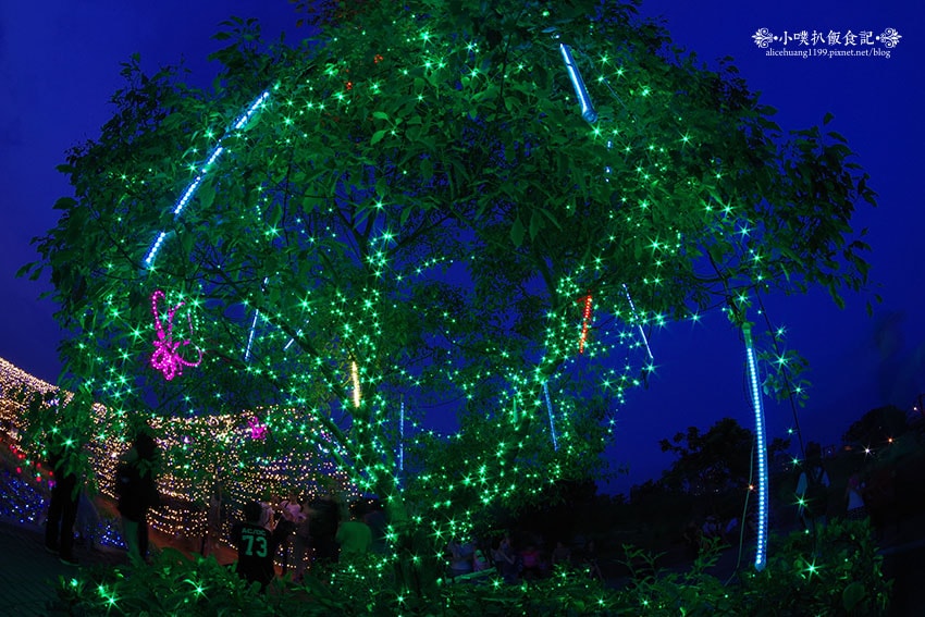 IMGP4684.jpg IMGP4684.jpg