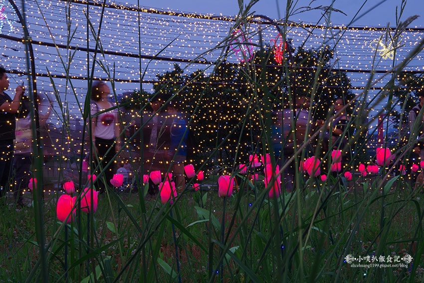 IMGP4669.jpg IMGP4669.jpg