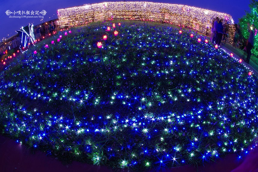 IMGP4686.jpg IMGP4686.jpg