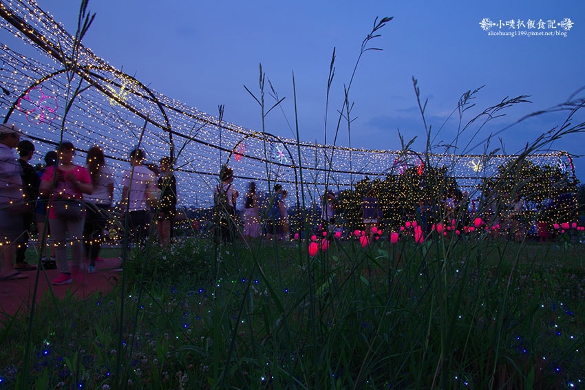 IMGP4668.jpg IMGP4668.jpg