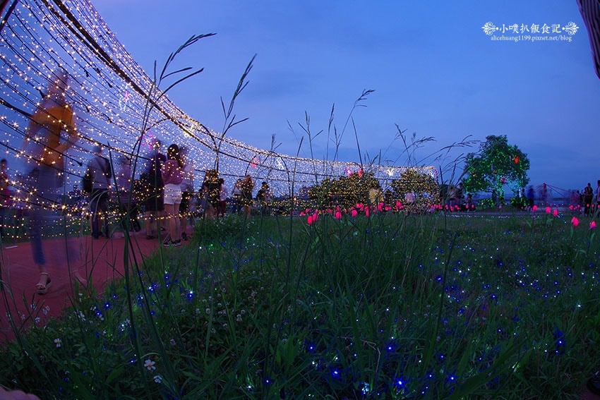 IMGP4672.jpg IMGP4672.jpg