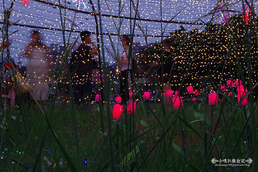 IMGP4671.jpg IMGP4671.jpg