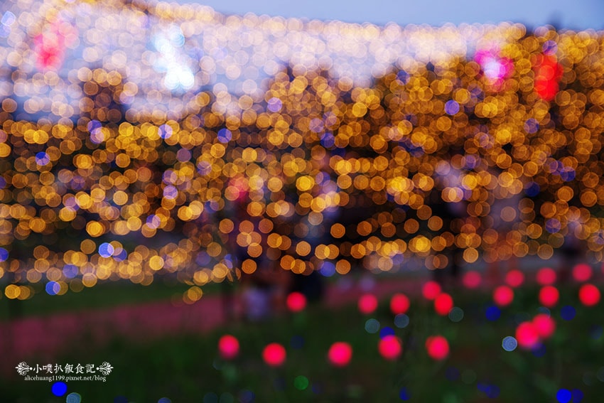 IMGP4667.jpg IMGP4667.jpg