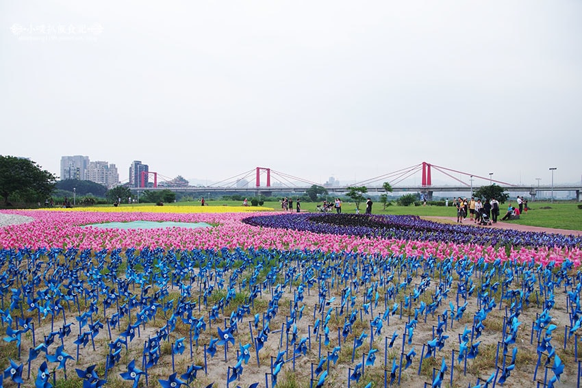 IMGP4658.jpg IMGP4658.jpg