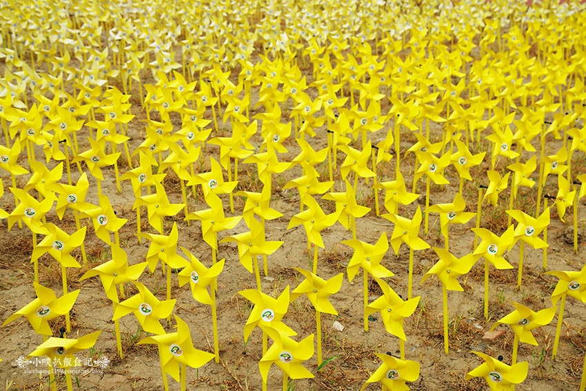 IMGP4647.jpg IMGP4647.jpg