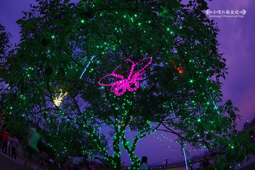 IMGP4677.jpg IMGP4677.jpg