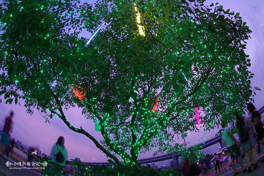 IMGP4676.jpg IMGP4676.jpg