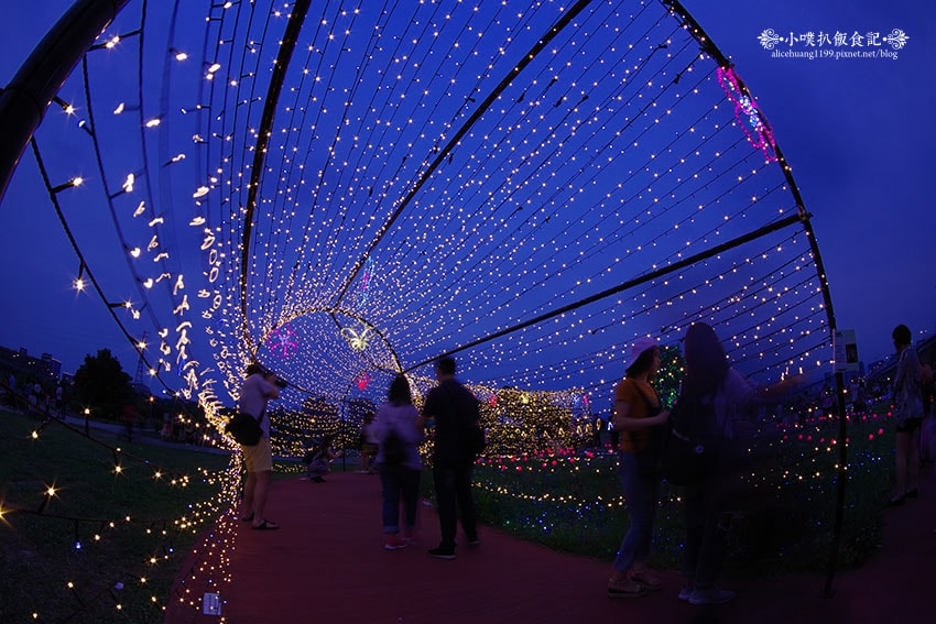 IMGP4673.jpg IMGP4673.jpg