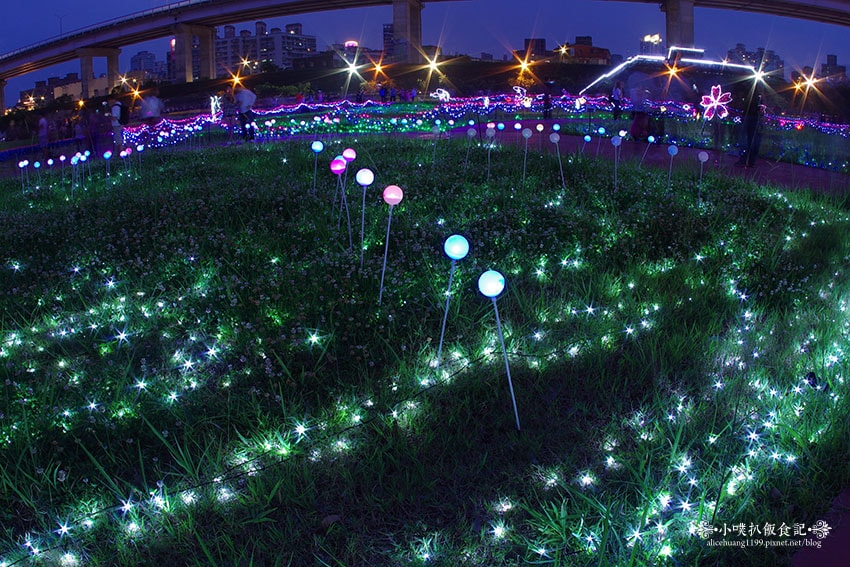 IMGP4687.jpg IMGP4687.jpg