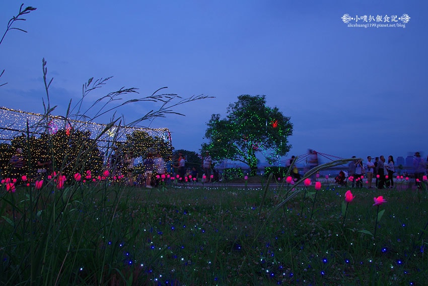 IMGP4670.jpg IMGP4670.jpg