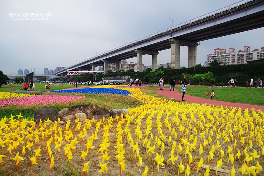 IMGP4652.jpg IMGP4652.jpg