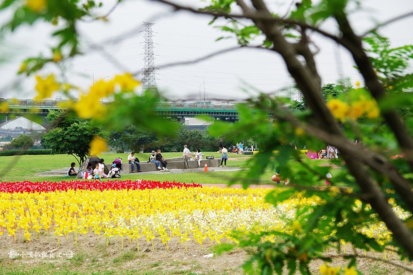 IMGP4645.jpg IMGP4645.jpg