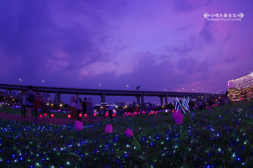 IMGP4680.jpg IMGP4680.jpg