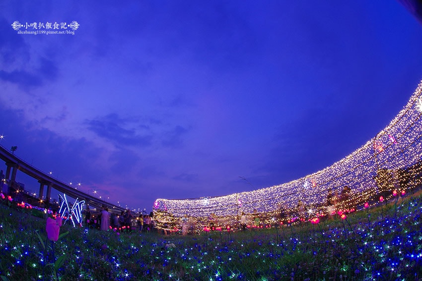 IMGP4683.jpg IMGP4683.jpg