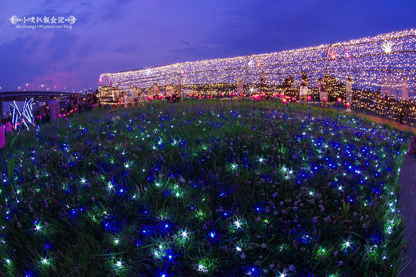 IMGP4682.jpg IMGP4682.jpg