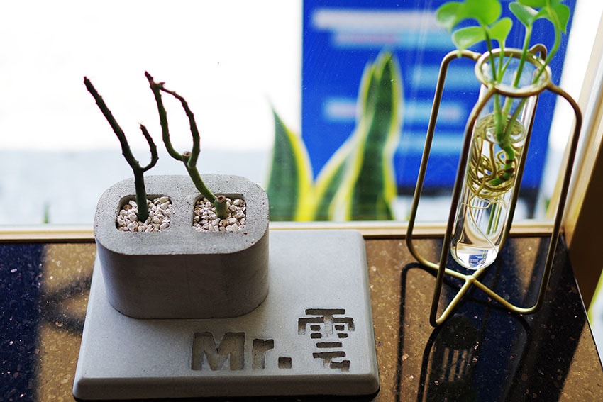 IMGP6251.jpg IMGP6251.jpg