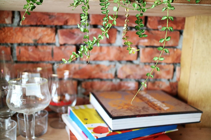 IMG_0824.jpg IMG_0824.jpg