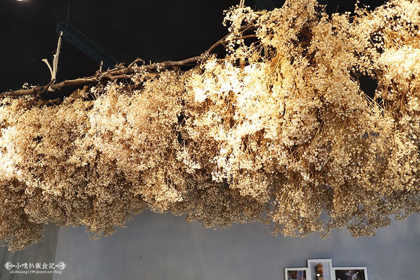 IMG_0574.jpg IMG_0574.jpg