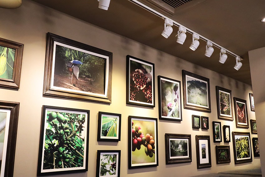 IMG_0388.jpg IMG_0388.jpg