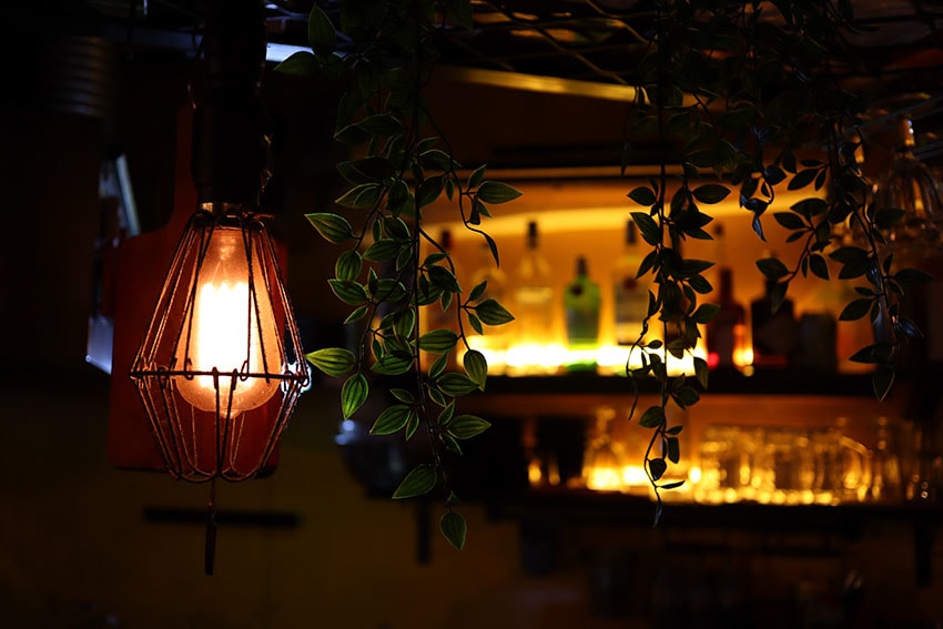 IMG_1116.jpg IMG_1116.jpg