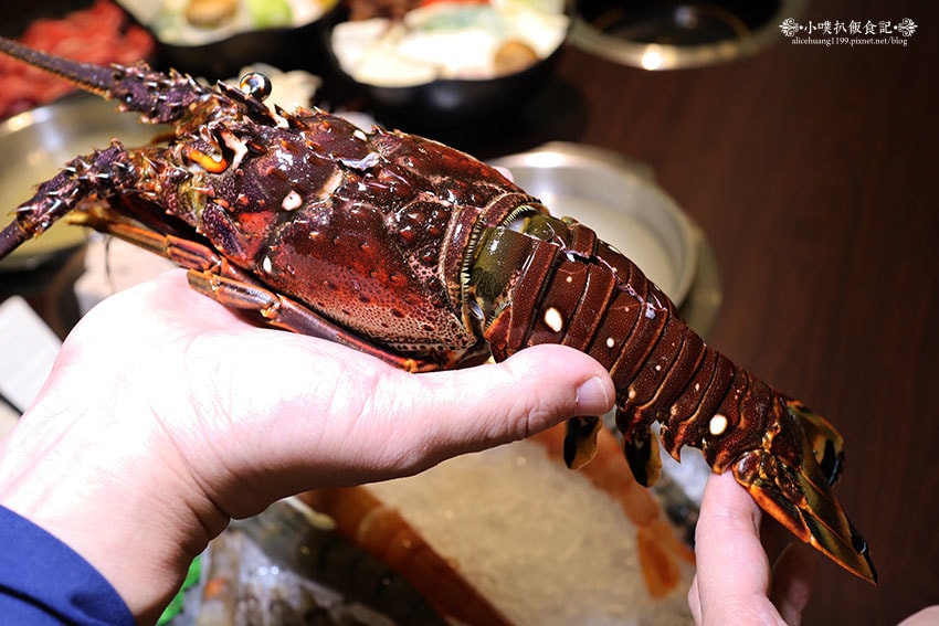 IMG_2929.jpg IMG_2929.jpg