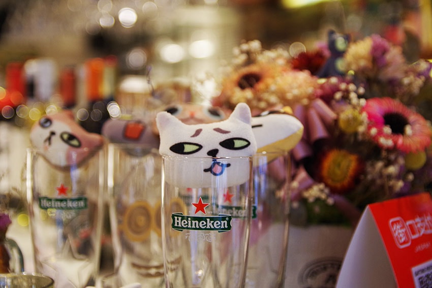 IMGP0443.jpg IMGP0443.jpg