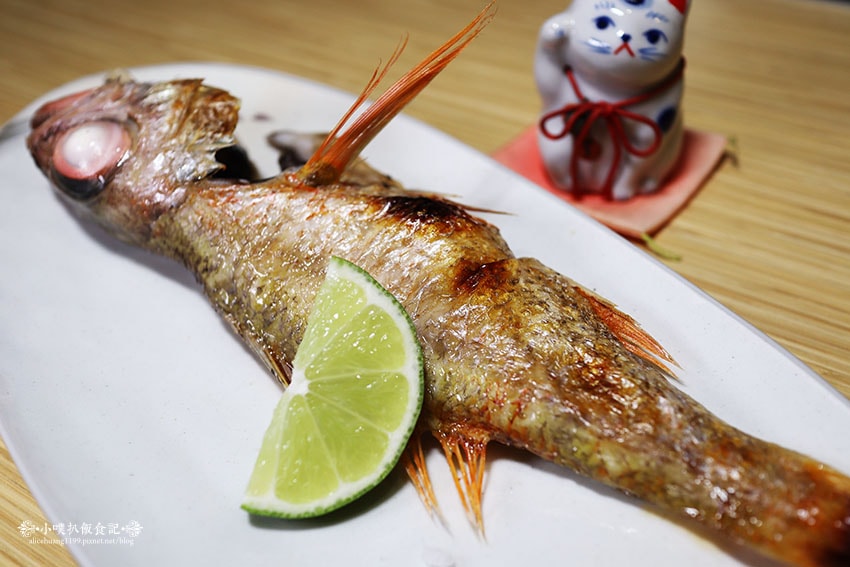 IMG_5239.jpg IMG_5239.jpg