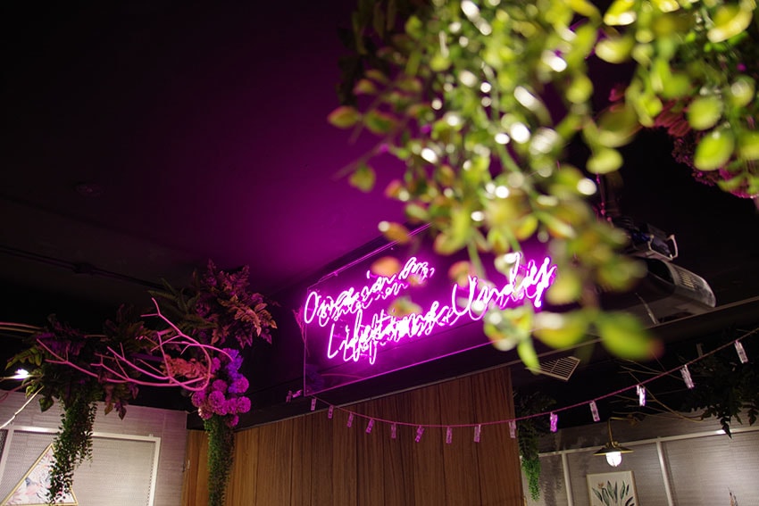 IMGP2484.jpg IMGP2484.jpg