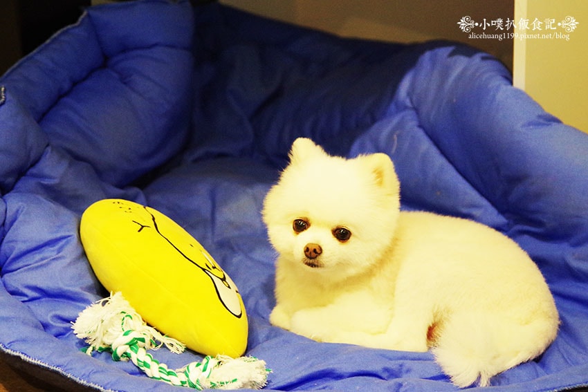 IMGP2793.jpg IMGP2793.jpg