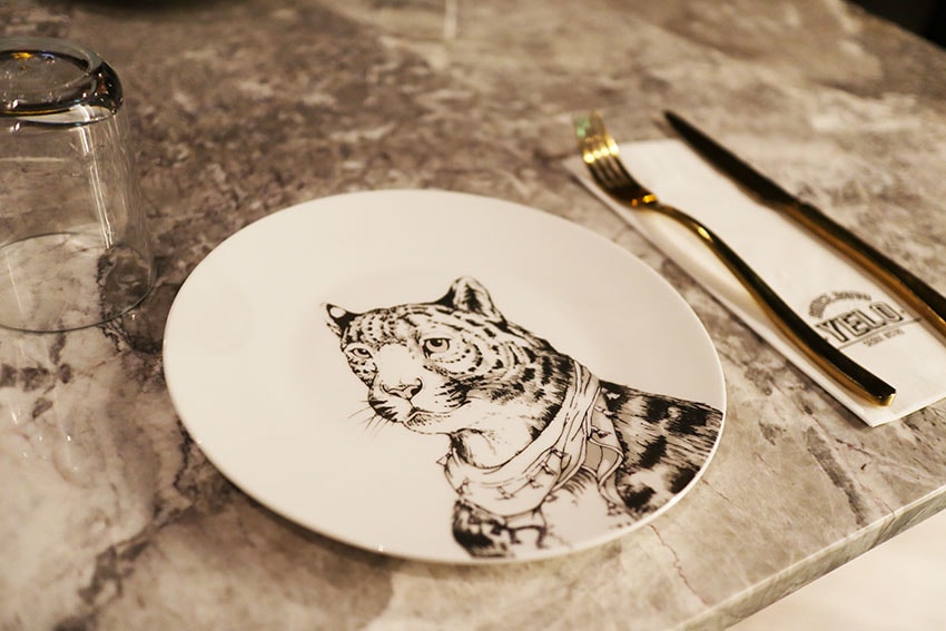 IMG_6671.jpg IMG_6671.jpg