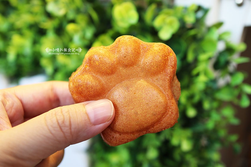 IMG_9309.jpg IMG_9309.jpg