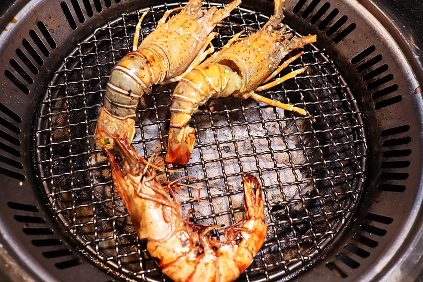 IMG_2474.jpg IMG_2474.jpg