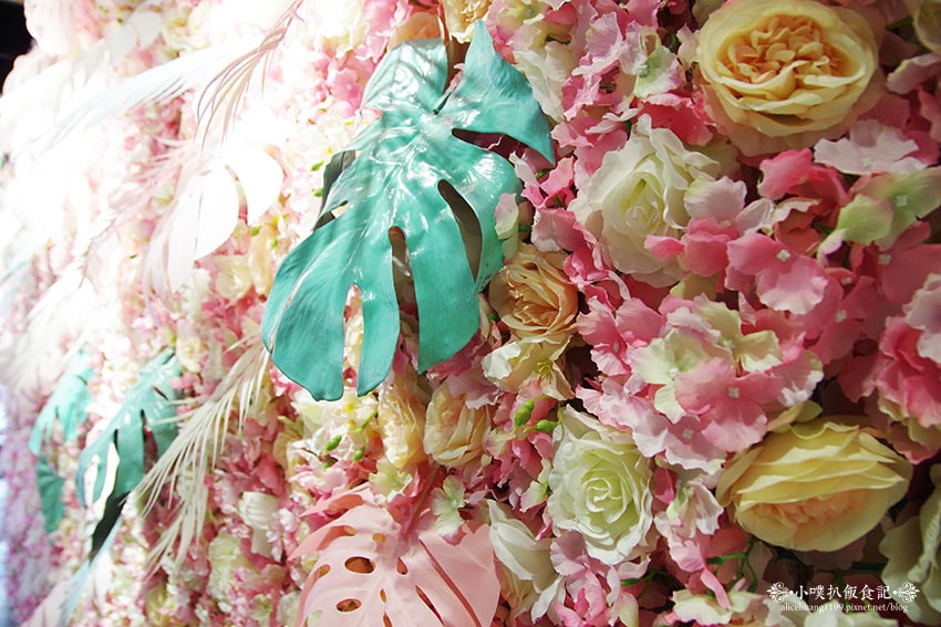 IMGP7230.jpg IMGP7230.jpg