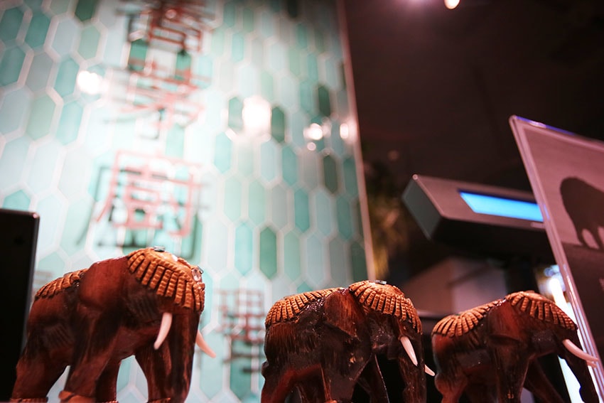 IMG_2557.jpg IMG_2557.jpg