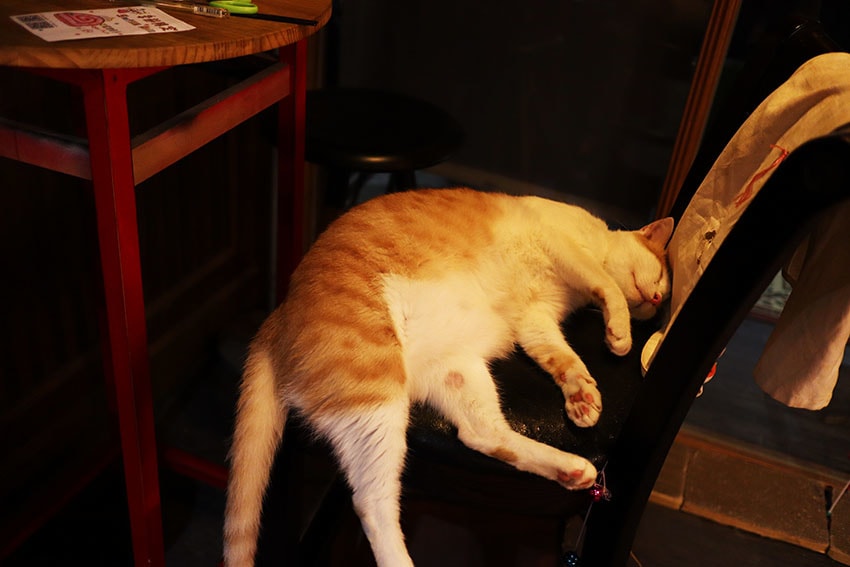 IMG_8166.jpg IMG_8166.jpg