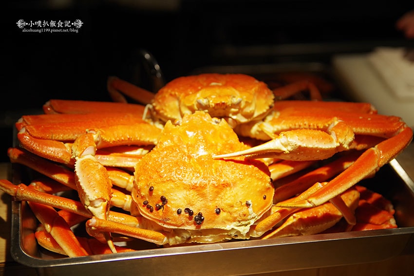 IMGP9037.jpg IMGP9037.jpg