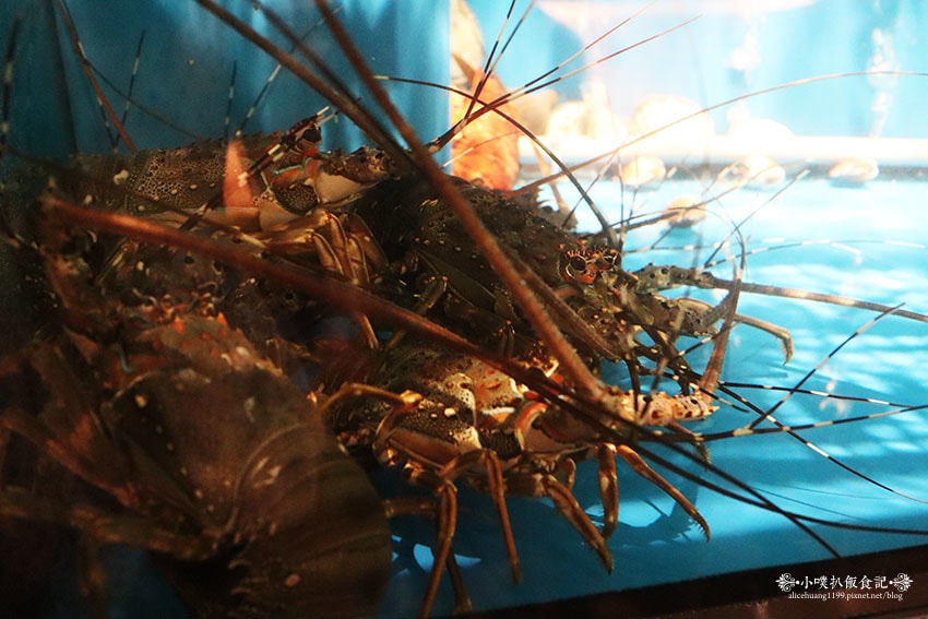 IMG_0186.jpg IMG_0186.jpg