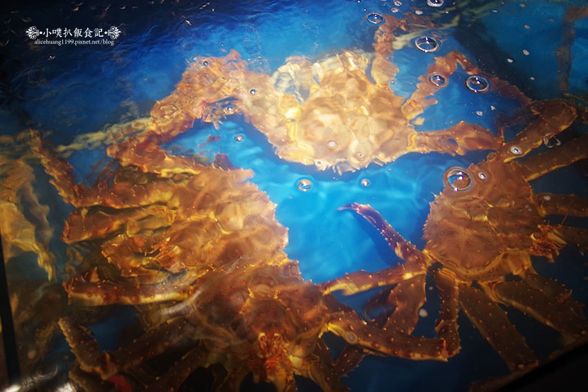 IMGP9045.jpg IMGP9045.jpg