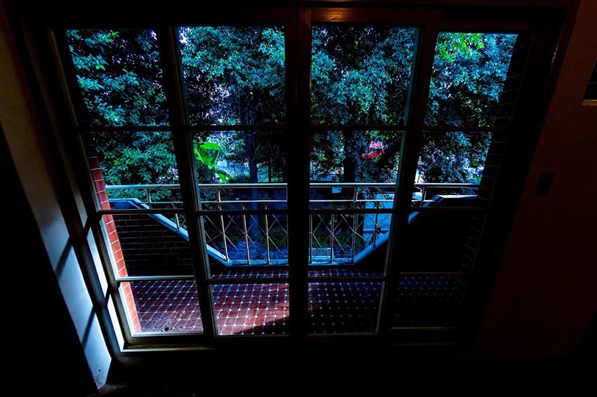 IMGP9238.jpg IMGP9238.jpg