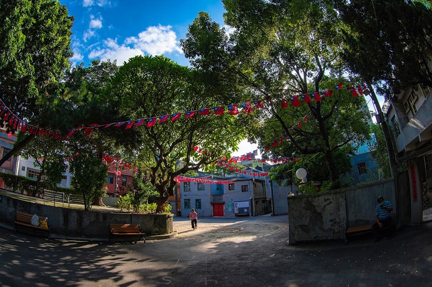 IMGP9235.jpg IMGP9235.jpg