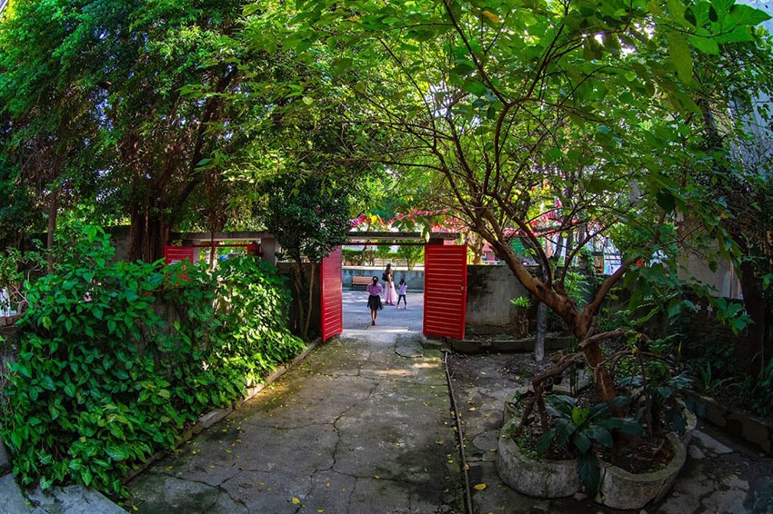 IMGP9236.jpg IMGP9236.jpg