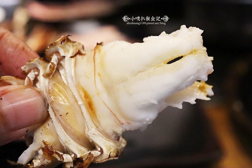 IMG_1942.jpg IMG_1942.jpg