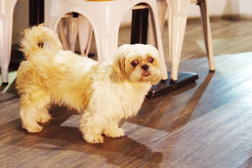 IMGP9863.jpg IMGP9863.jpg