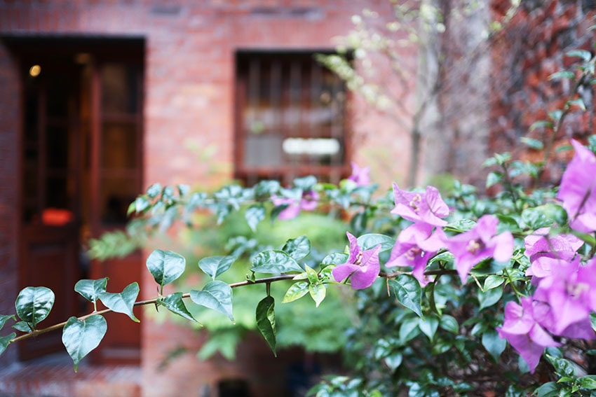 IMG_3531.jpg IMG_3531.jpg