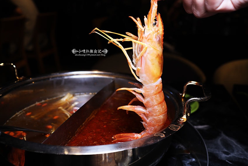 IMG_3309.jpg IMG_3309.jpg