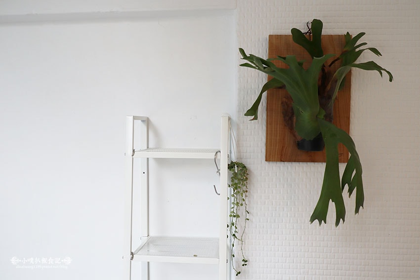 IMG_5160.jpg IMG_5160.jpg